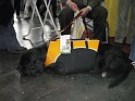 Heimtiermesse 2009   079